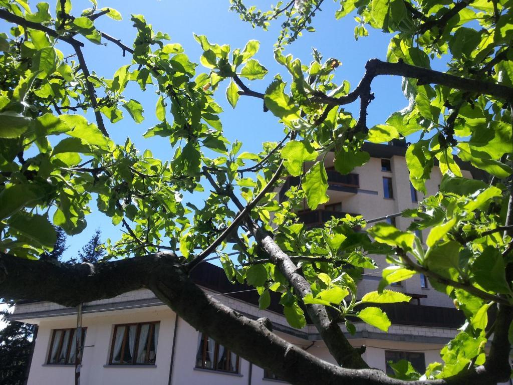 La Torretta Hotel Challand-Saint-Anselme Екстер'єр фото